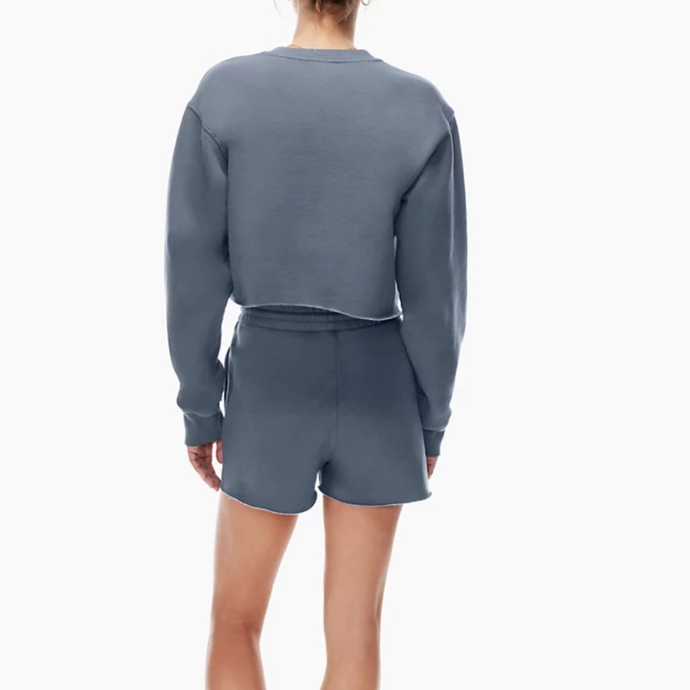 Aritzia Tna Fleece Shorts - Picture 11 of 14